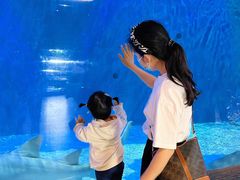 -华夏文旅海洋公园