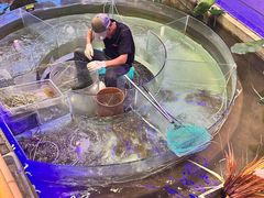 -火福·天湖阁大闸蟹博物馆主题餐厅(浅水湾店)
