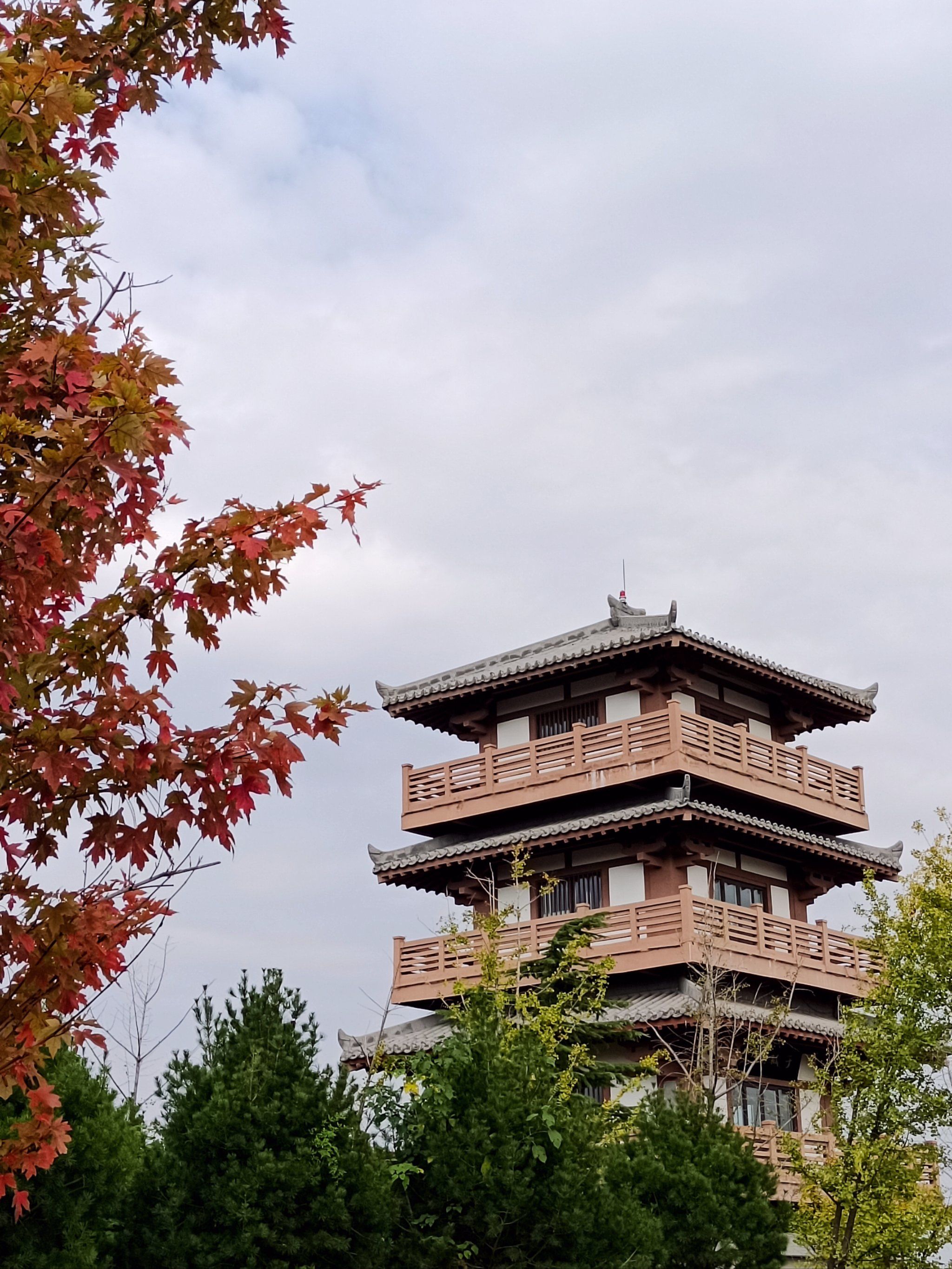 周山森林公园