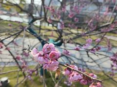 -东湖景区
