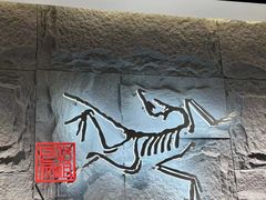-ARC'TERYX始祖鸟(北京王府中环店)