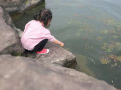 -东钱湖阳光沙滩