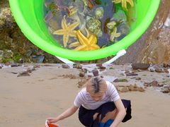 -前王院•巧克力海鲜市集餐厅(万平口店)