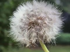 -鬼笑石后山停车场