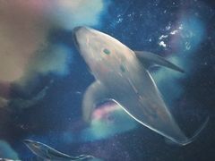 -芜湖方特东方神画