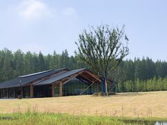 -黄海国家森林公园