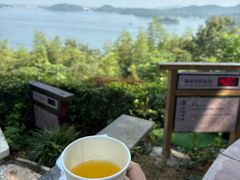 -天目湖涵田半山温泉