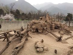 iphone_upload_pic-西安秦岭野生动物园