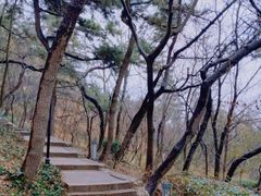 -信号山公园