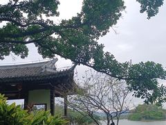 -江心屿景区