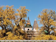 -北京石刻艺术博物馆