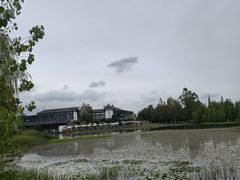 -白鹭湾湿地公园