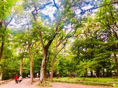 -井之头恩赐公园