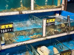 -鲜炉季港式打边炉(尚海湾店)