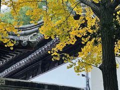 -西园戒幢律寺