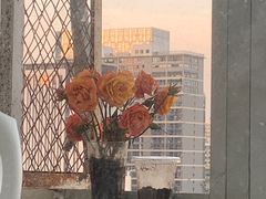 -溪岸路花鸟市场