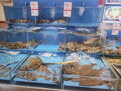 -添福来墨鱼饺子 · 海鲜东北菜(大连星海·黄浦路店)