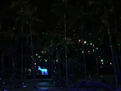 -三亚红色娘子军演艺公园景区