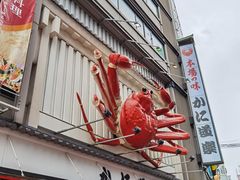 -蟹道乐(道顿堀本店)