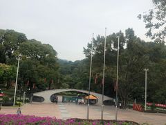 -云溪植物园