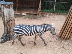 -昆明动物园