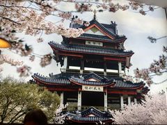 -蜜桃餐厅·伴山(绿宝广场店)