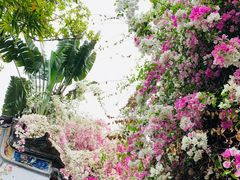 -深圳国际园林花卉博览园