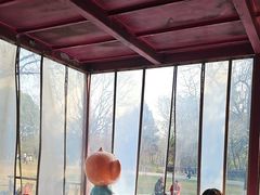 -鸡鸣汤包(红山动物园店)