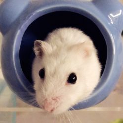 点击看大图 -悦芳庭美肤美体品牌集合店