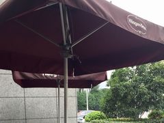 -哈根达斯(陆家浜路店)