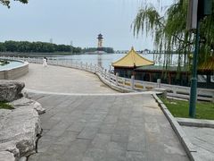 -溱湖国家湿地公园