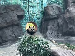-乐和乐都主题乐园