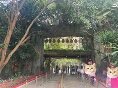 -西双版纳原始森林公园