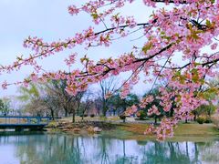 -上海辰山植物园