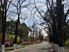 -龙泉峪长城