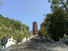 -红花山公园