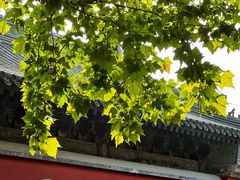 -嵩祝寺及智珠寺