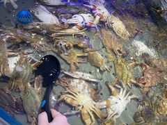 -澜悦港海鲜体验主题餐厅
