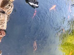 -海南热带野生动植物园