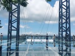 -呀诺达热带雨林