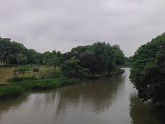-绍兴镜湖国家城市湿地公园