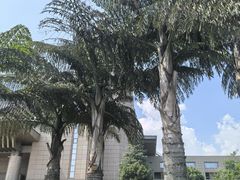 -昆明洲际酒店