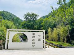 -苍龙峡风景区