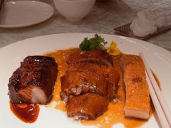 -南海渔村(珠江新城店)