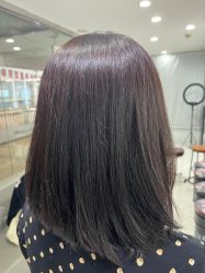 -镁连社·美联社