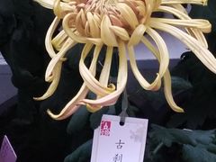 -共青国家森林公园-售票处