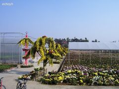 -三圣花乡旅游区