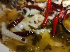 -宋小谨(惠安禹洲店)