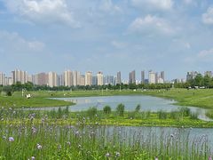 -洋湖国家湿地公园