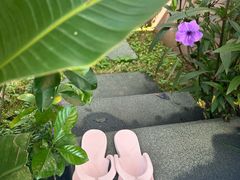 -广州从化都喜泰丽度假酒店温泉